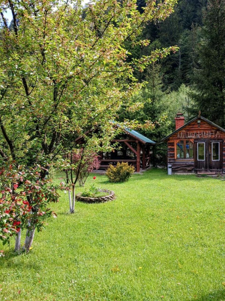 Villa Lisova Kazka à Vorokhta Extérieur photo